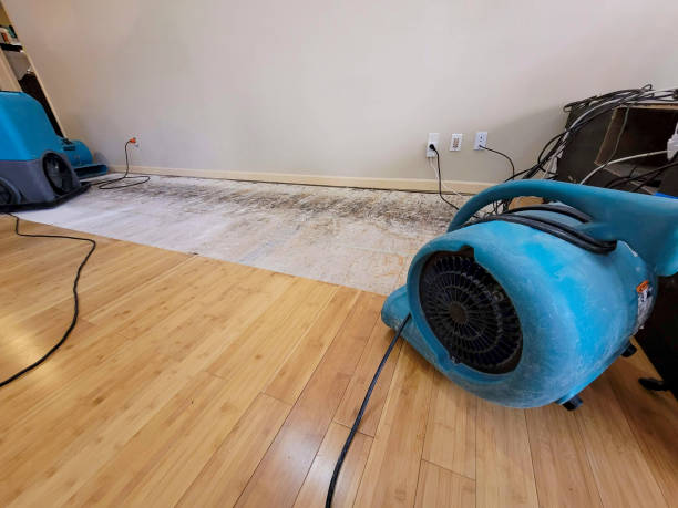 Reliable Basement Flood Cleanup contractor in El Cerrito, CA by Hirex Water Damage
