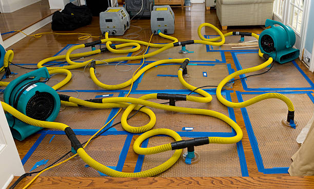 Professional Basement Flood Cleanup technician working in El Cerrito, CA